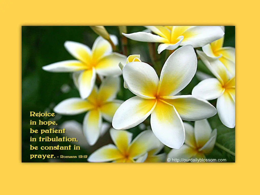 slide18