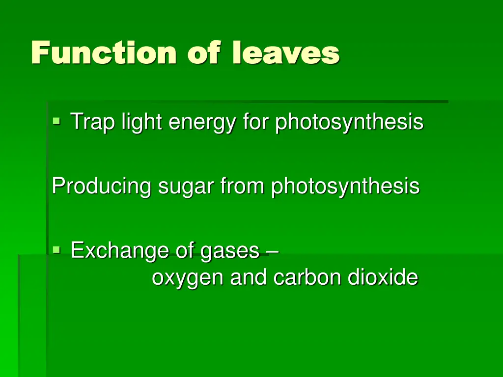 function of leaves function of leaves