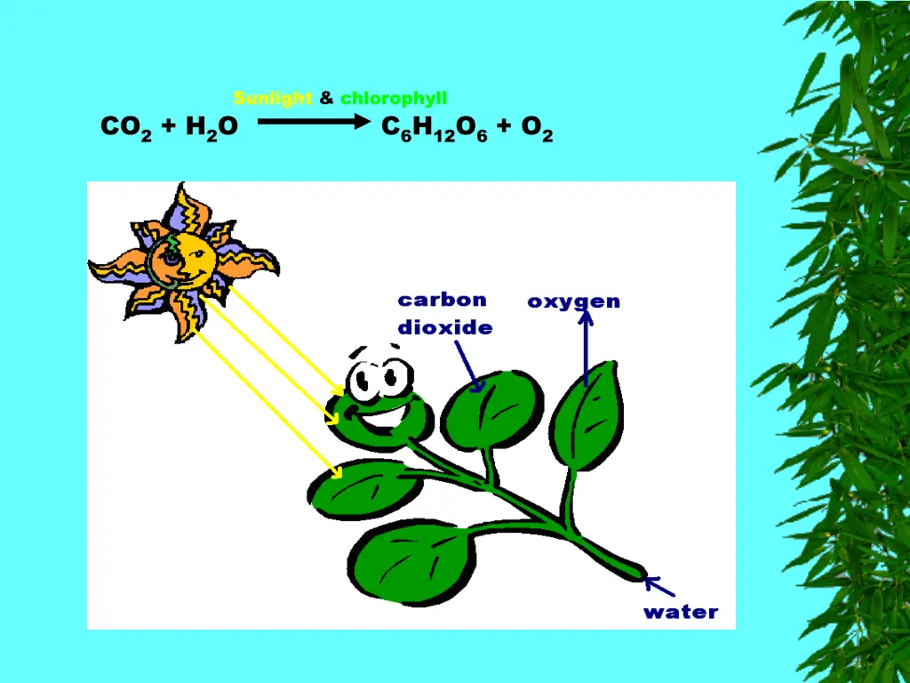 co 2 h 2 o c 6 h 12 o 6 o 2