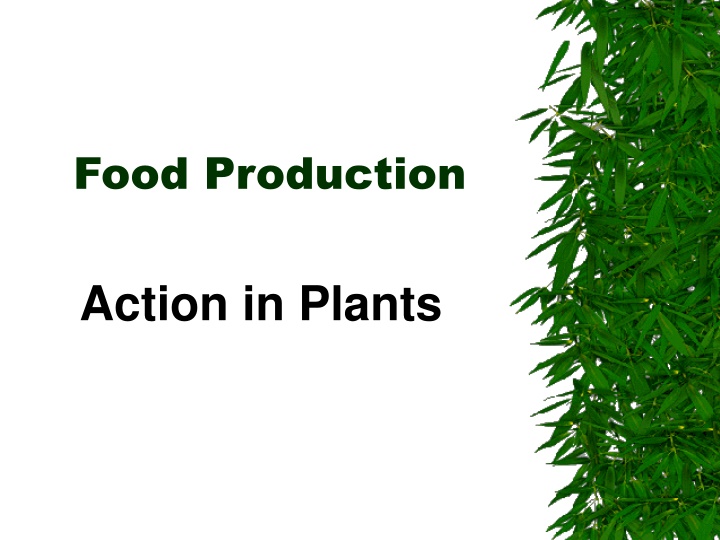 food production