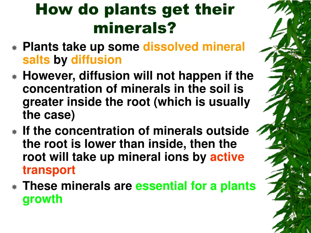 how do plants get their minerals plants take