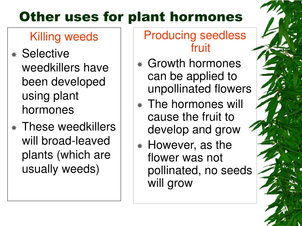 other uses for plant hormones killing weeds