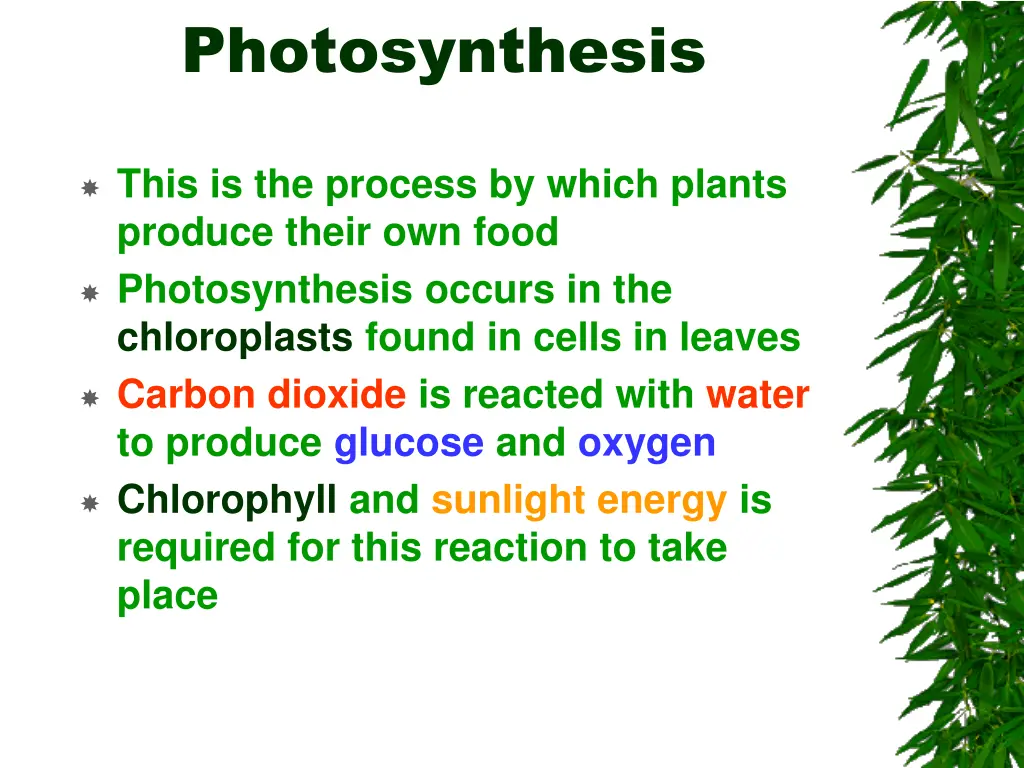 photosynthesis