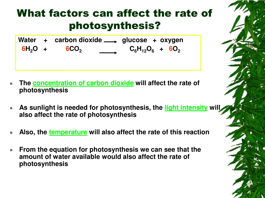 what factors can affect the rate of photosynthesis