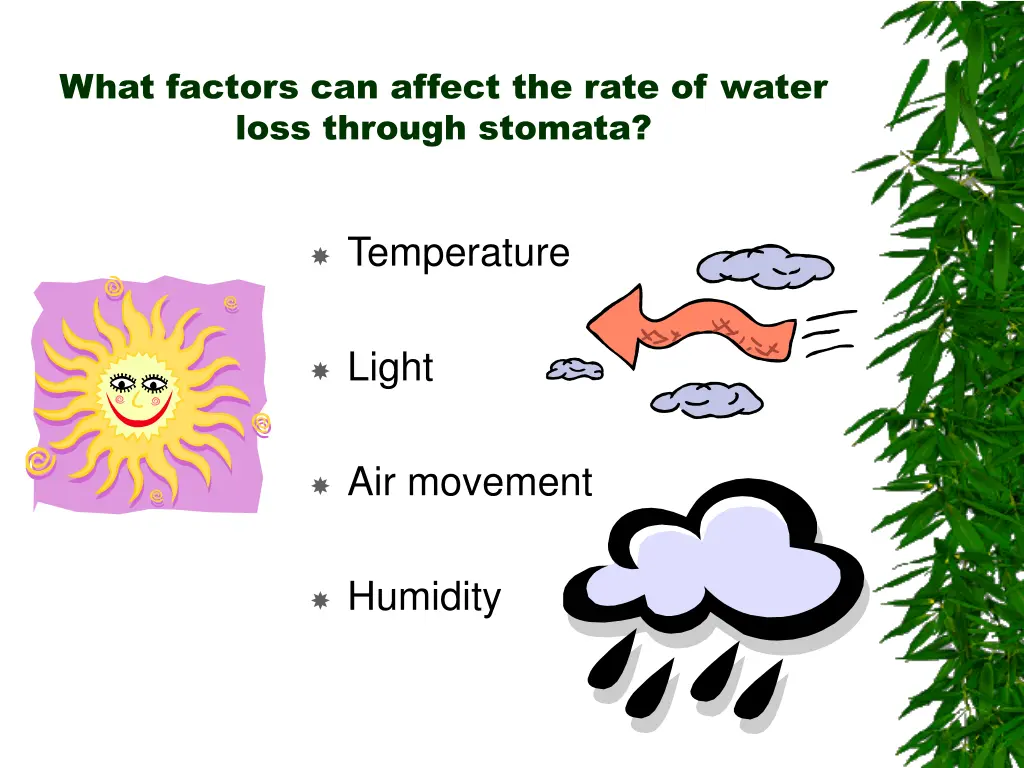 what factors can affect the rate of water loss