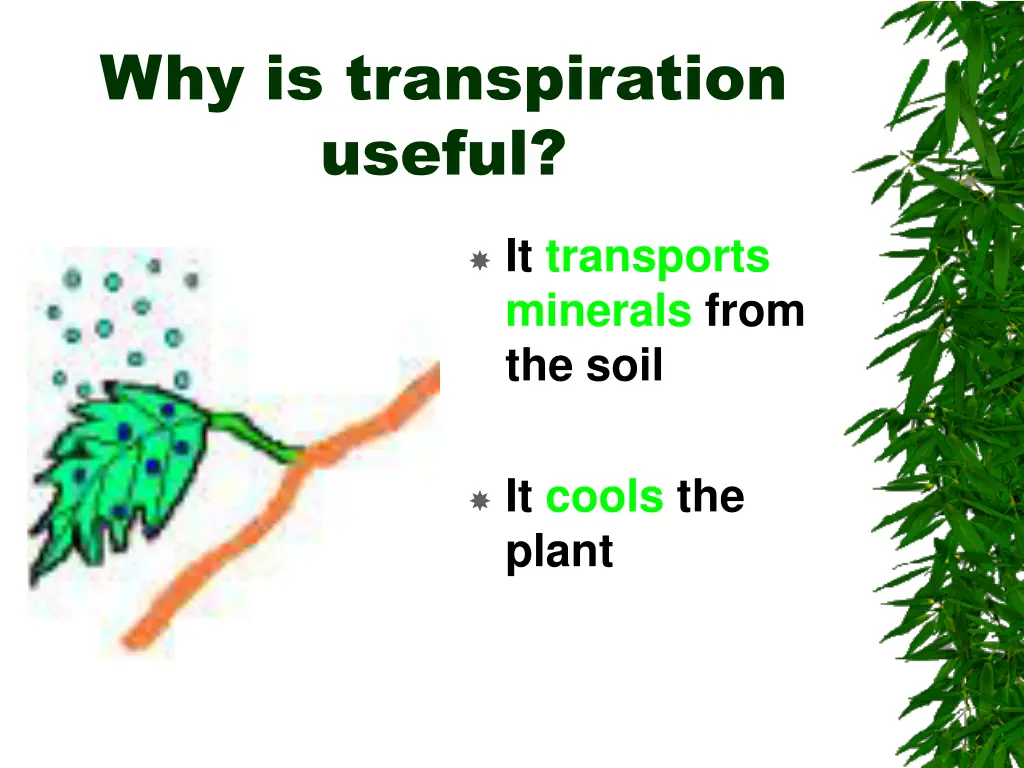 why is transpiration useful