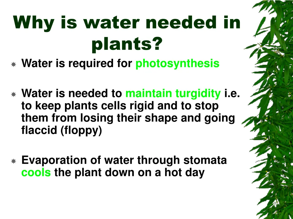 why is water needed in plants water is required