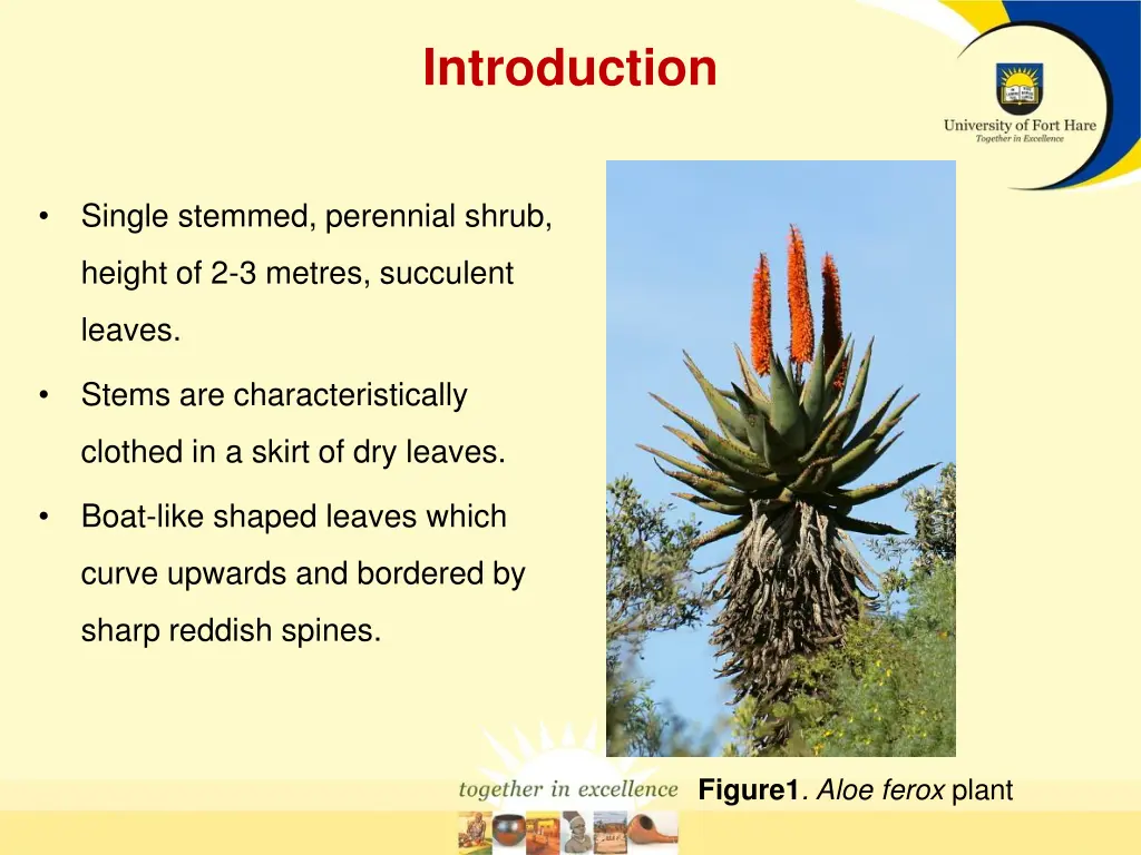 introduction 1
