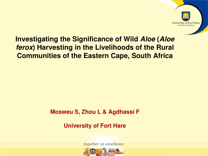 investigating the significance of wild aloe aloe