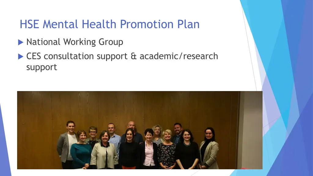 hse mental health promotion plan 1