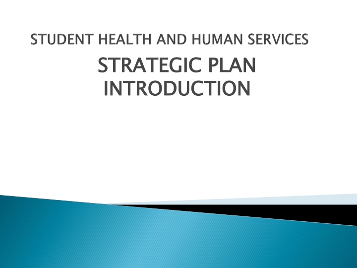 strategic plan introduction