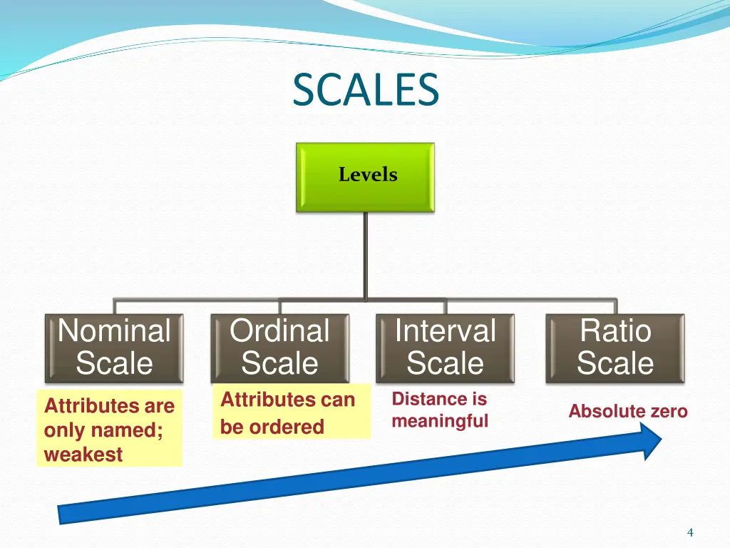 scales