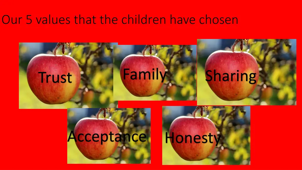 our 5 values that the children have chosen