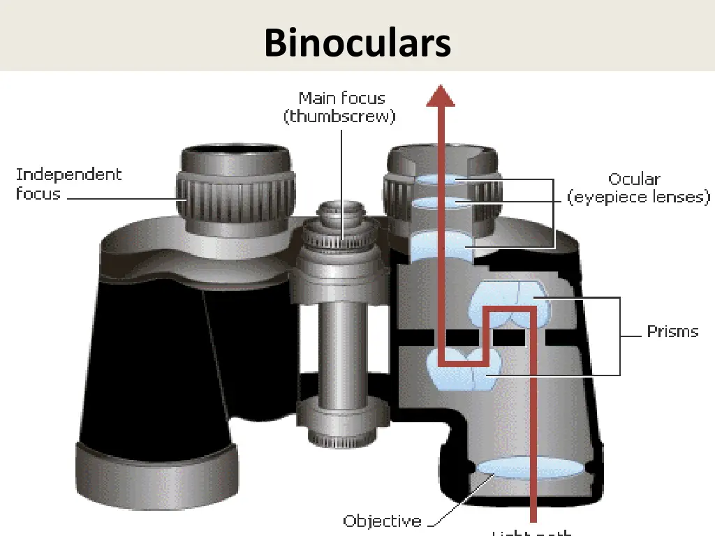 binoculars