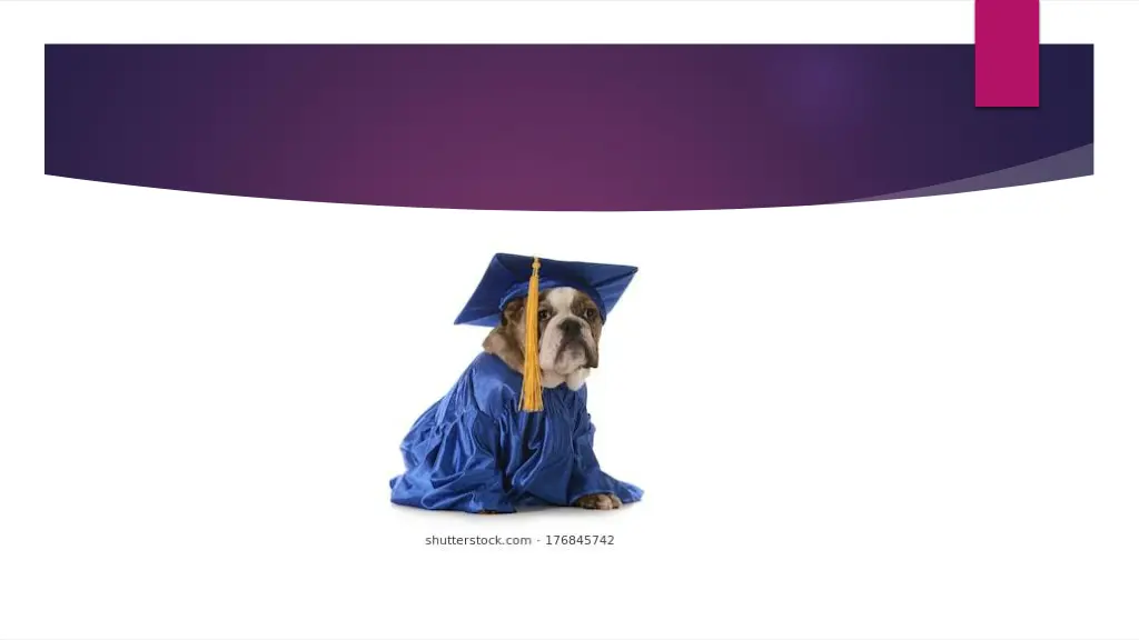 slide11