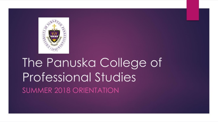 the panuska college of professional studies