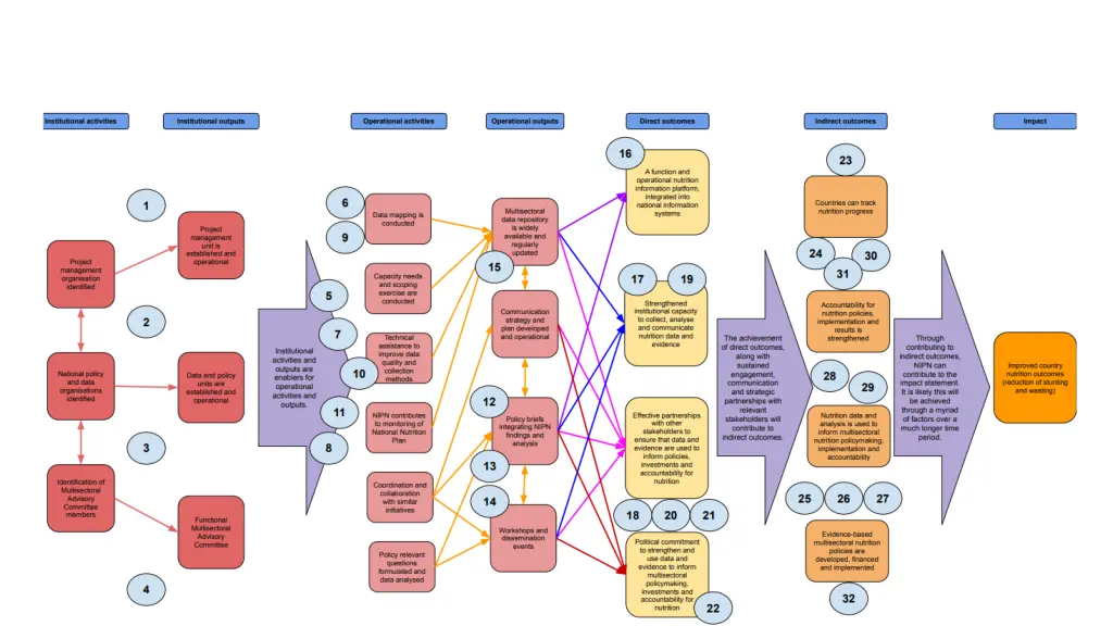 revised theory of change