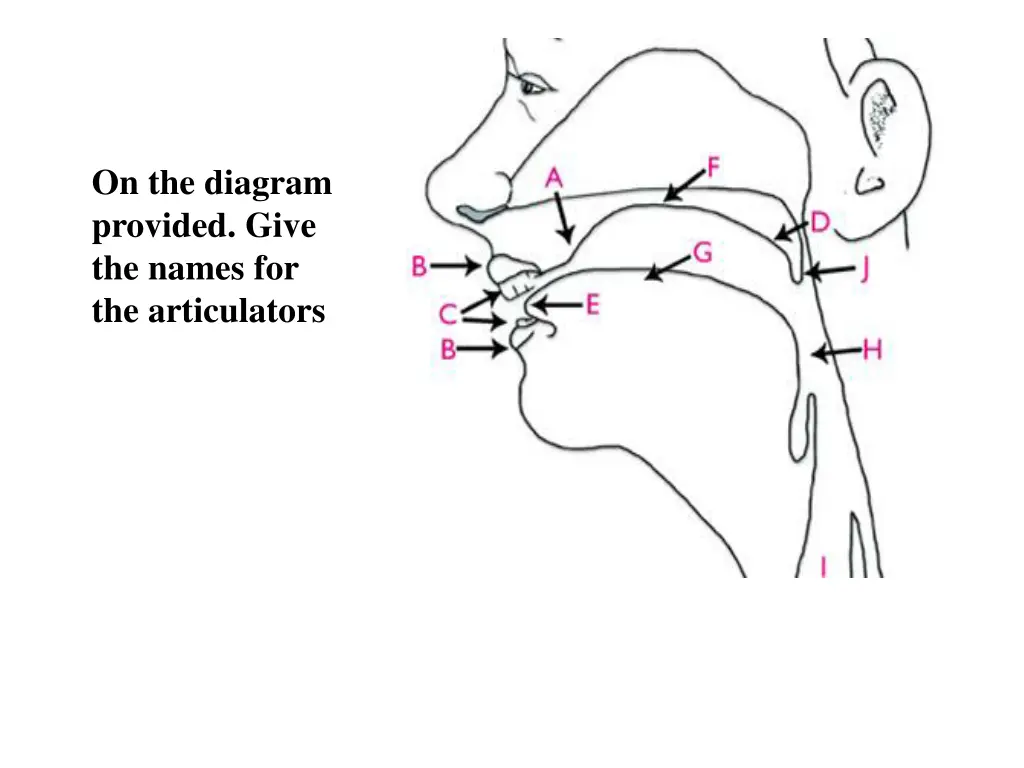 on the diagram provided give the names