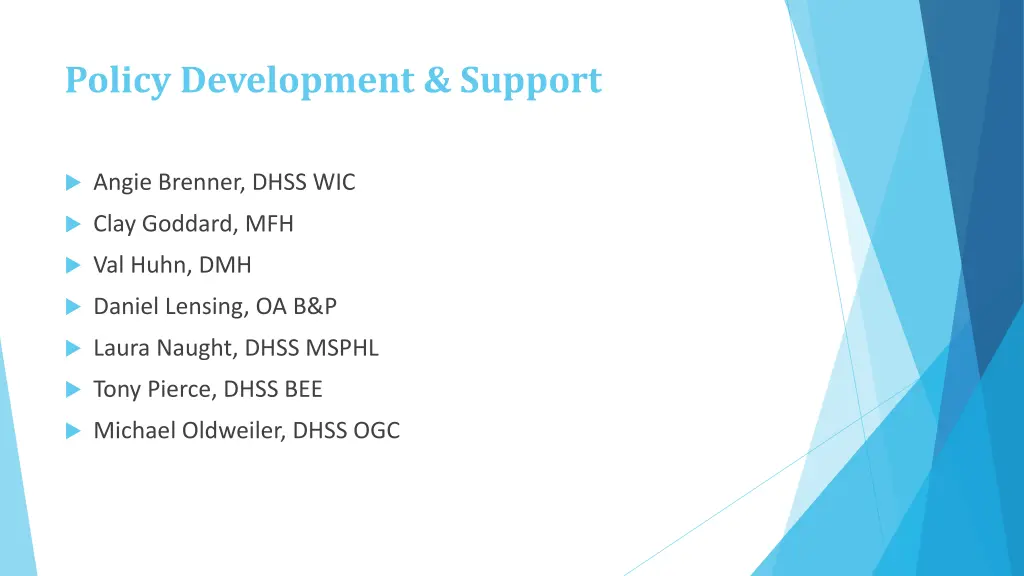 policy development support