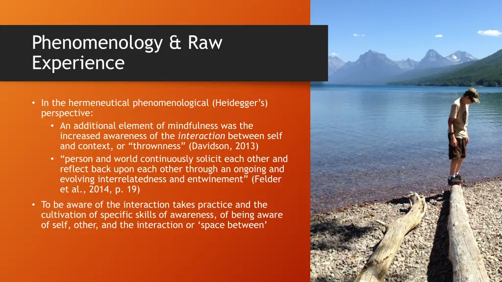 phenomenology raw experience 1