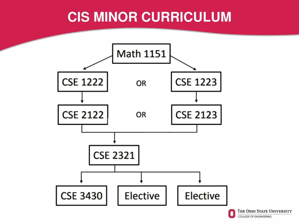 cis minor curriculum