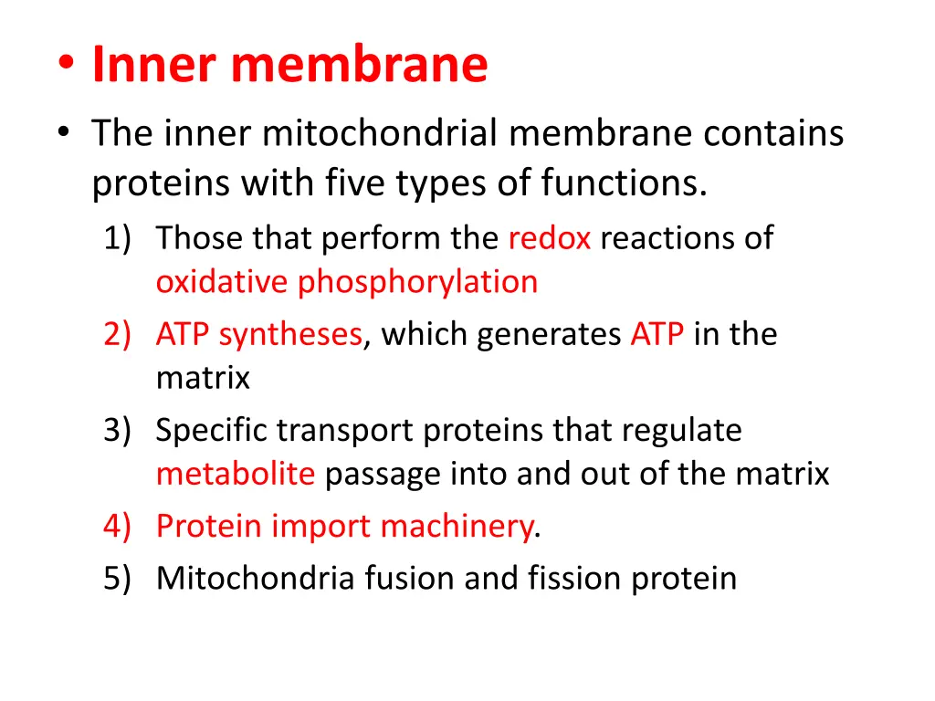 inner membrane the inner mitochondrial membrane
