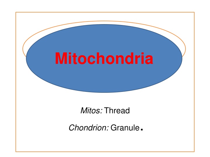 mitochondria mitochondria