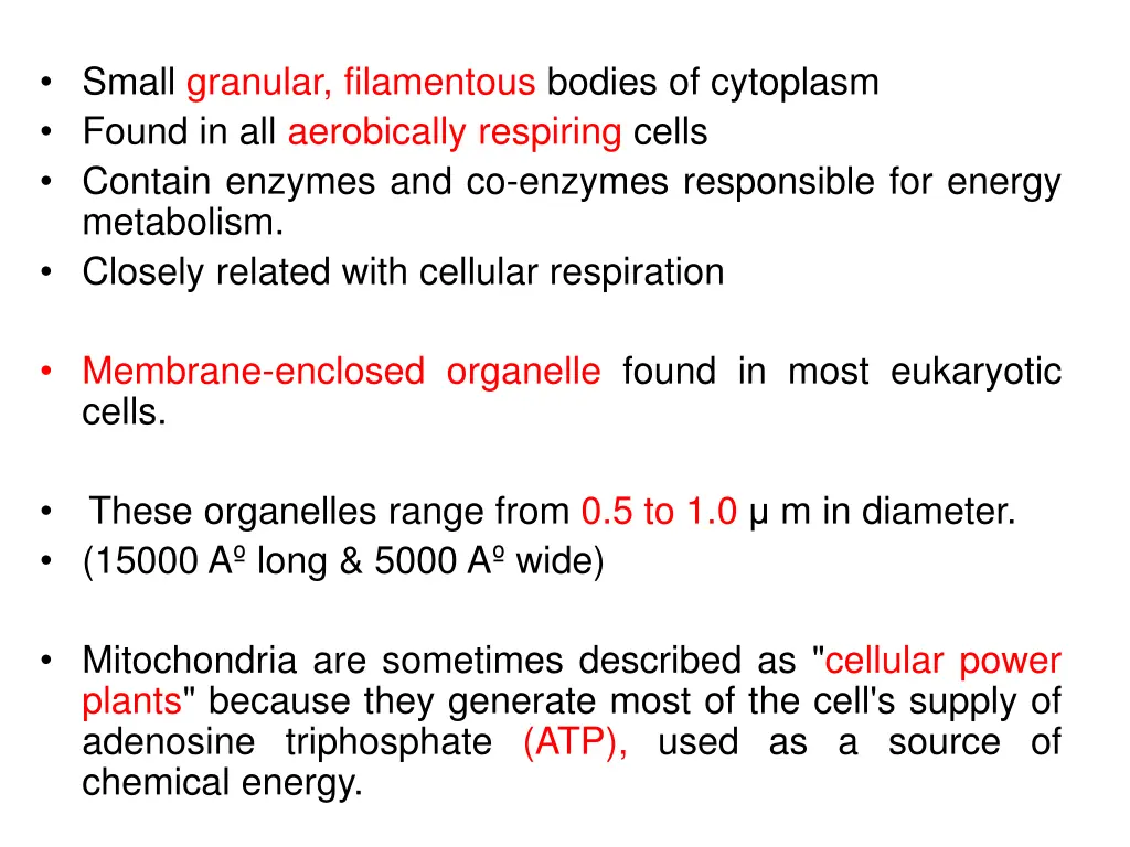 small granular filamentous bodies of cytoplasm