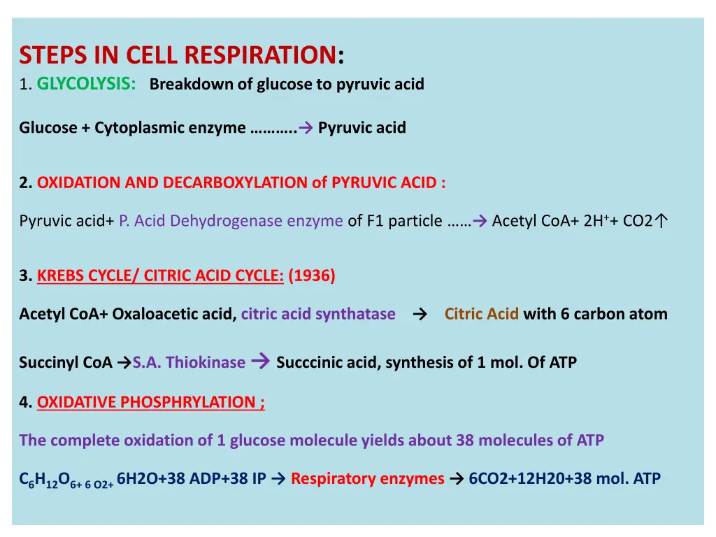 steps in cell respiration 1 glycolysis breakdown