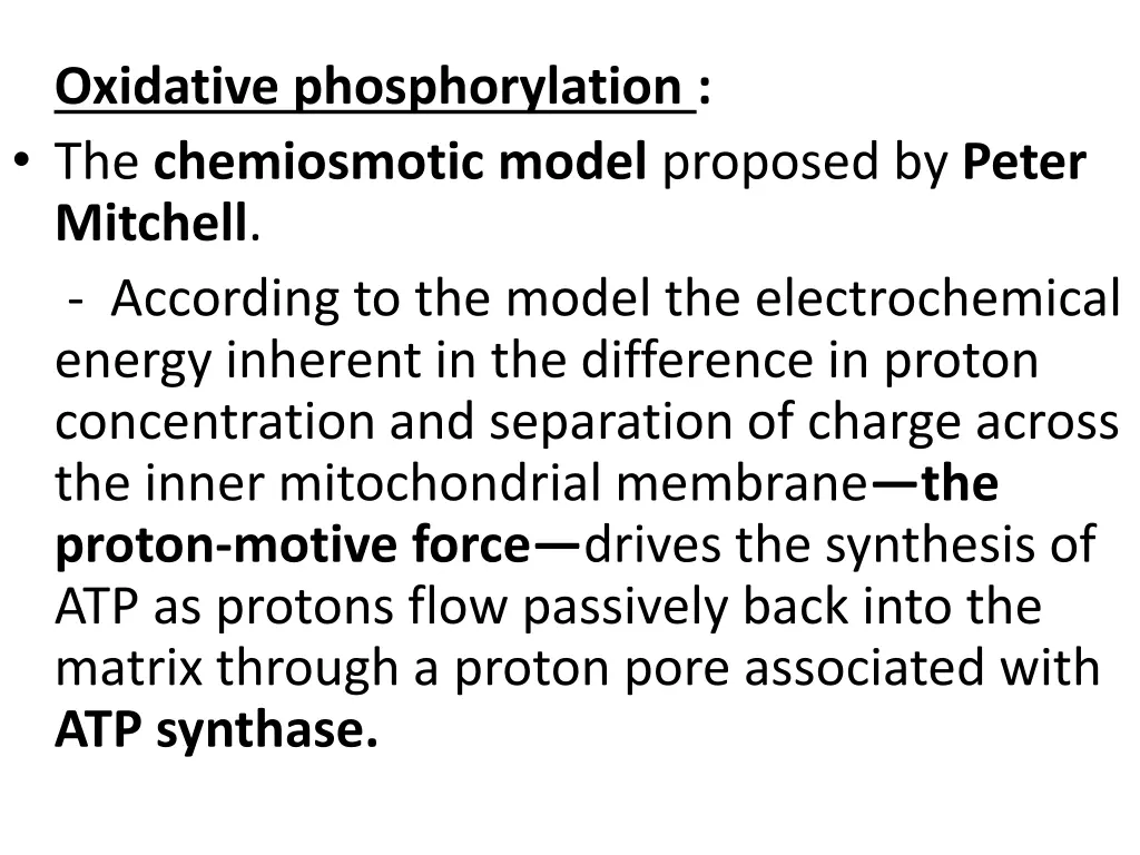 oxidative phosphorylation the chemiosmotic model