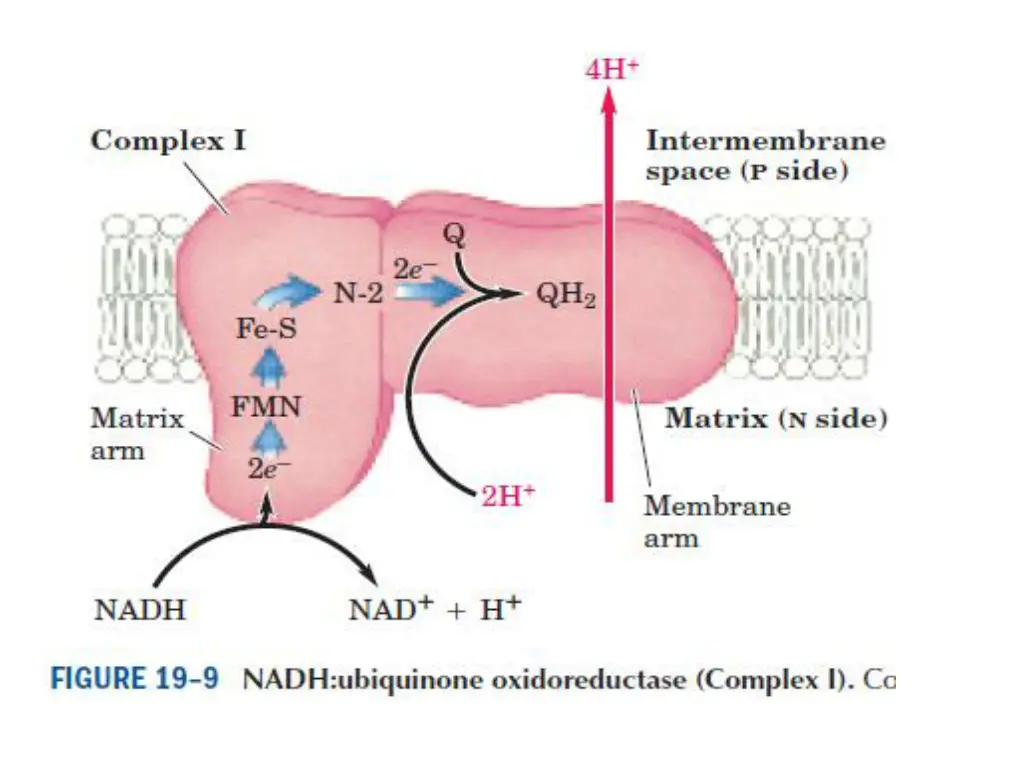 slide23