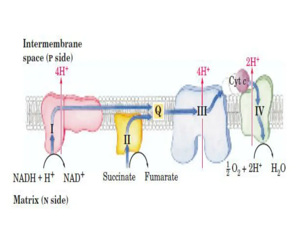 slide31