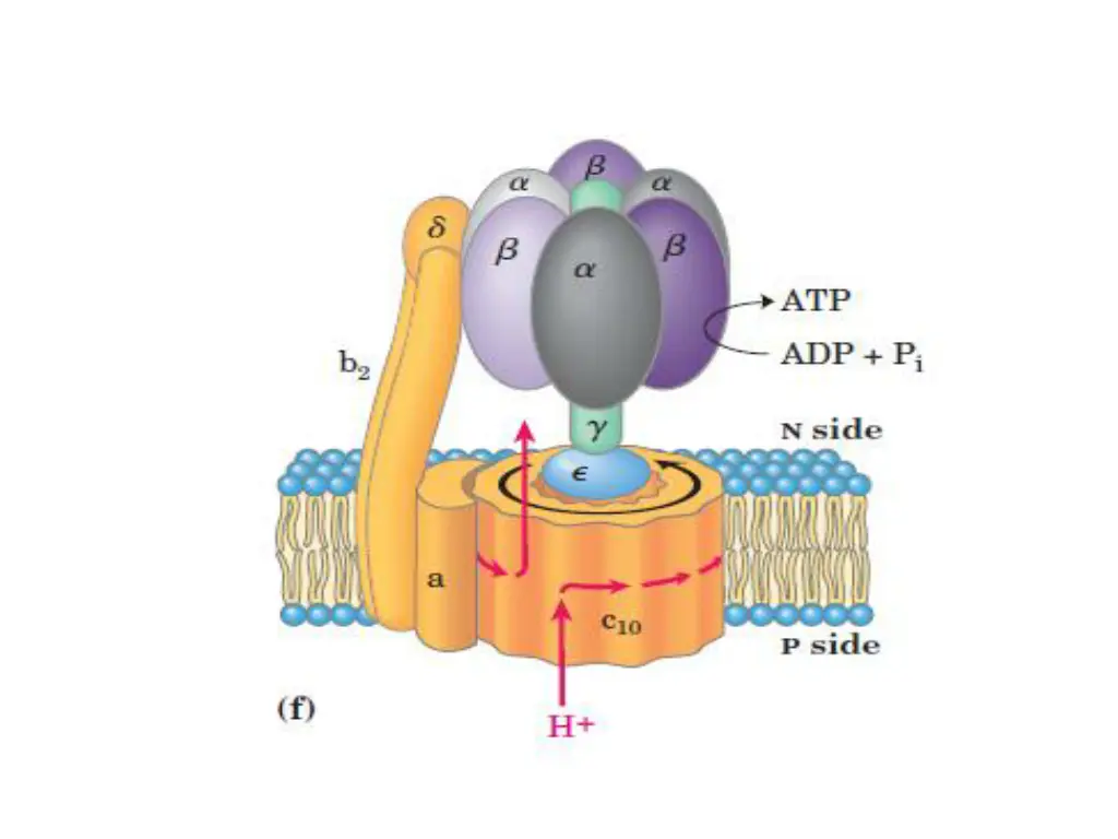 slide38