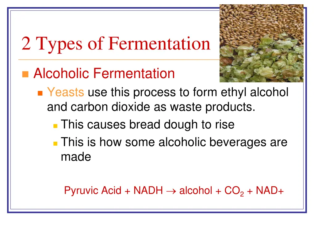 2 types of fermentation