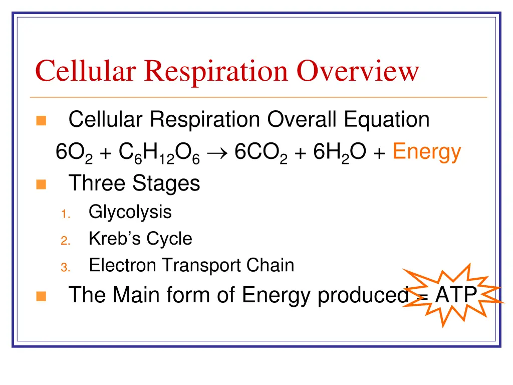 cellular respiration overview