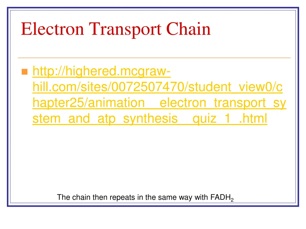 electron transport chain