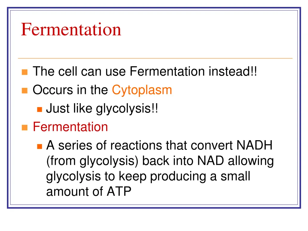 fermentation