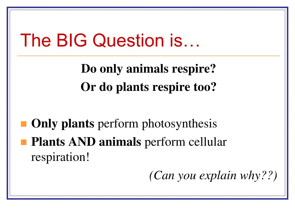the big question is
