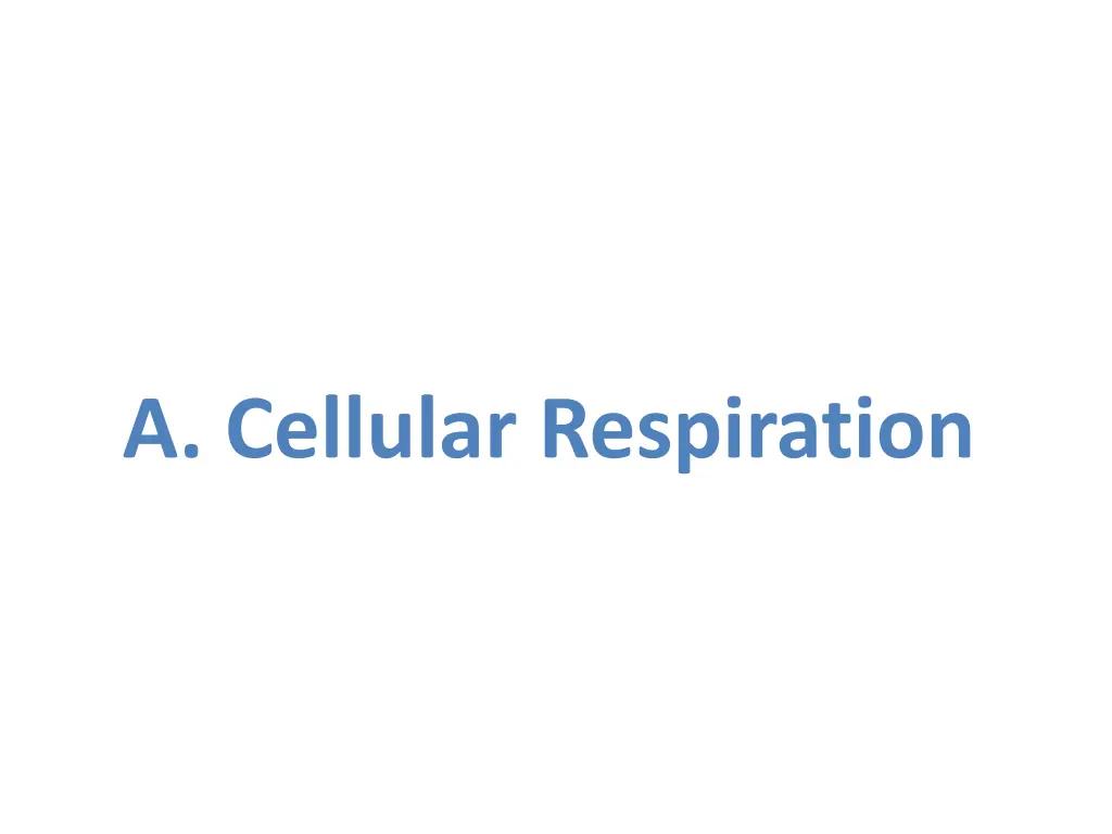 a cellular respiration