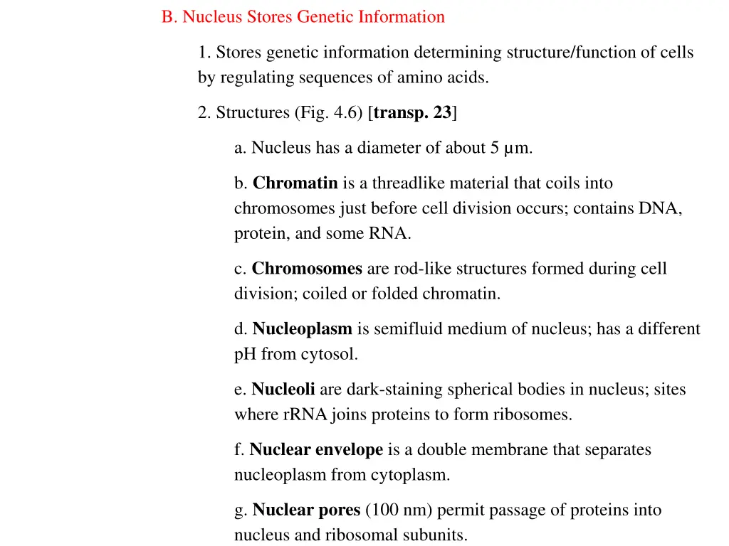 b nucleus stores genetic information