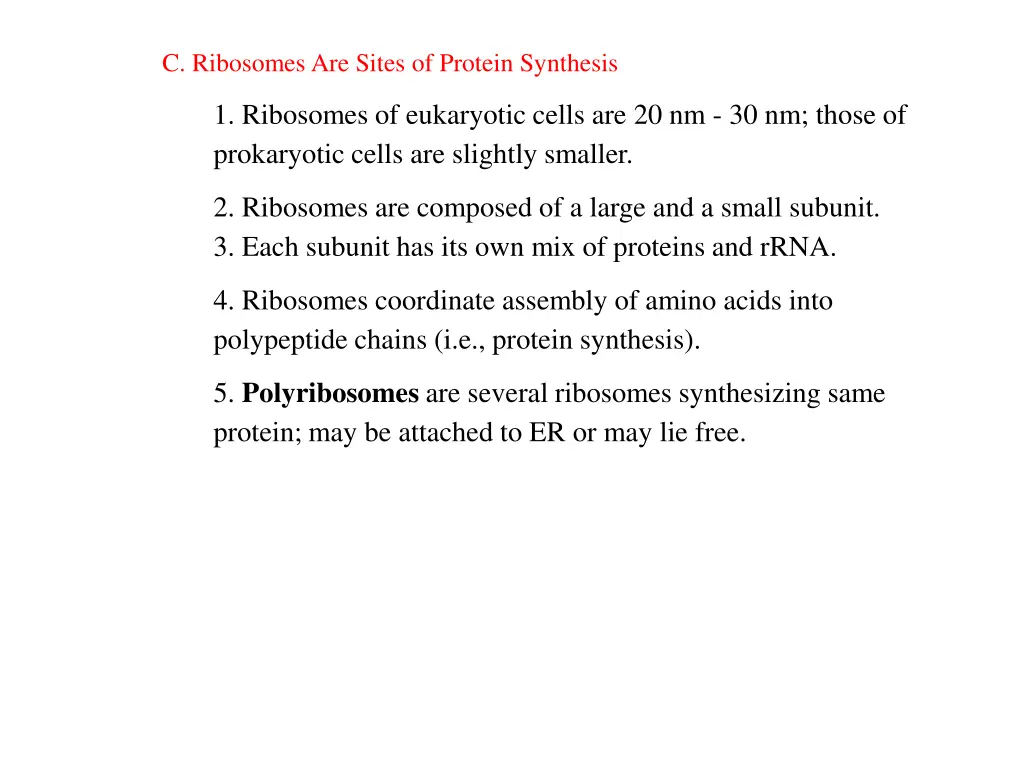 c ribosomes are sites of protein synthesis