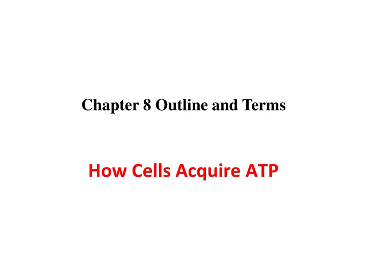 chapter 8 outline and terms