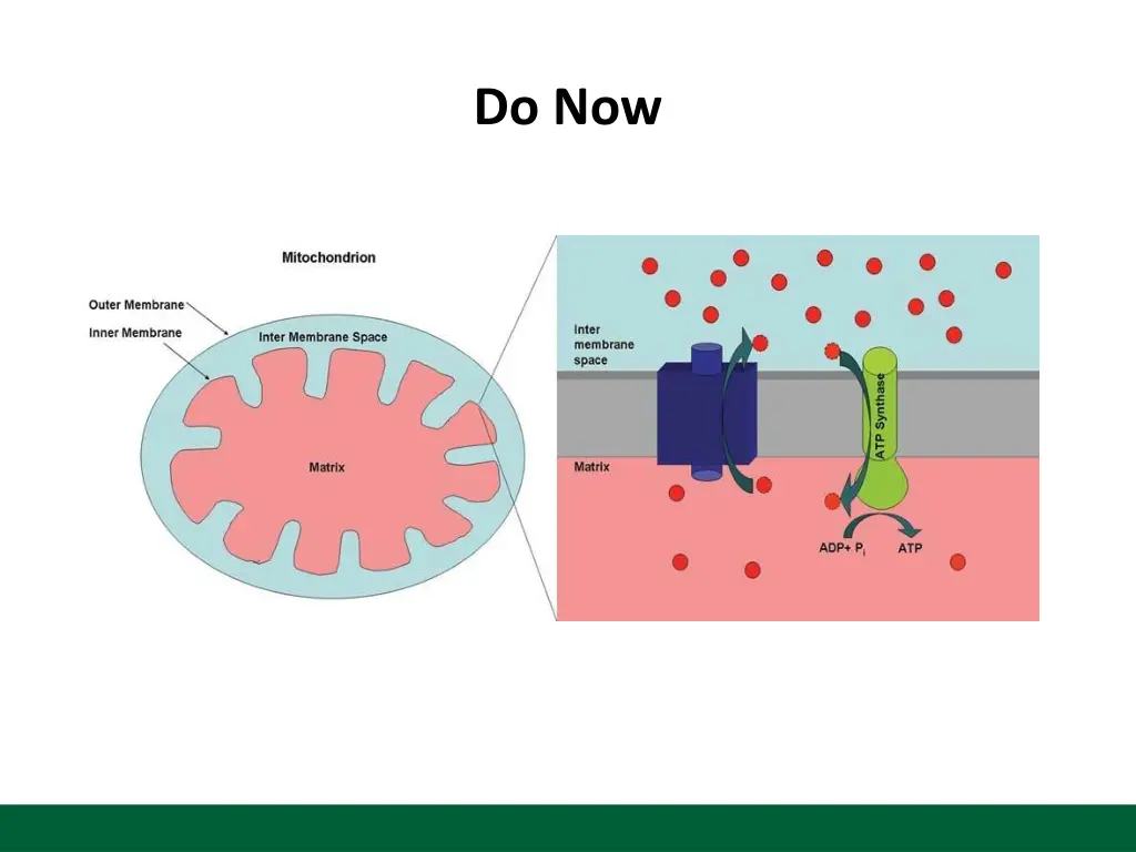 do now 1