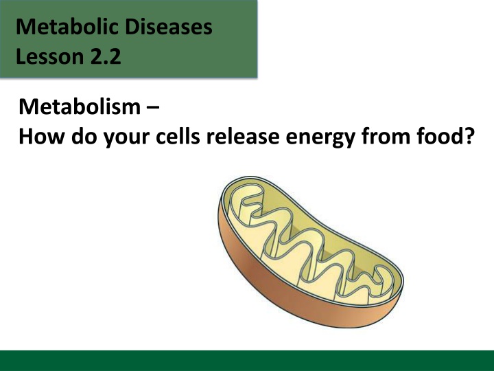 metabolic diseases lesson 2 2 metabolism