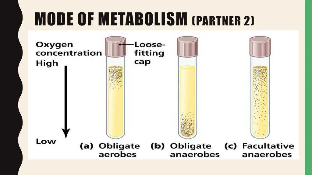 mode of metabolism partner 2 require to release
