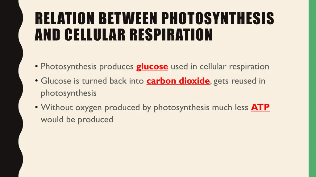 relation between photosynthesis and cellular