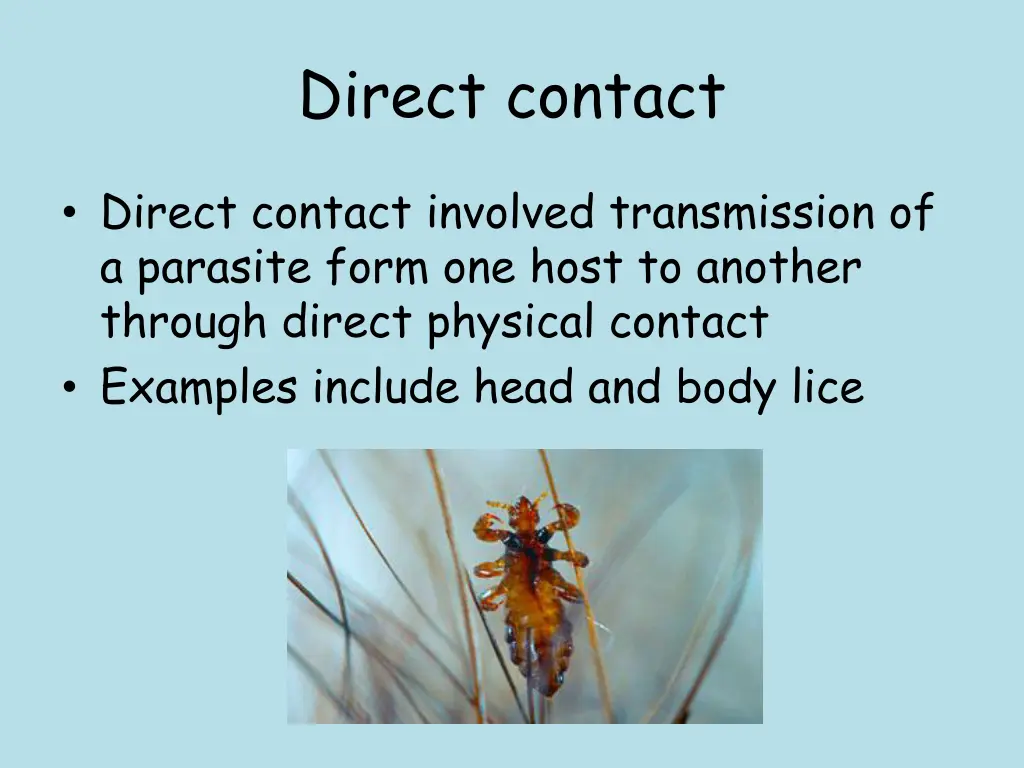 direct contact