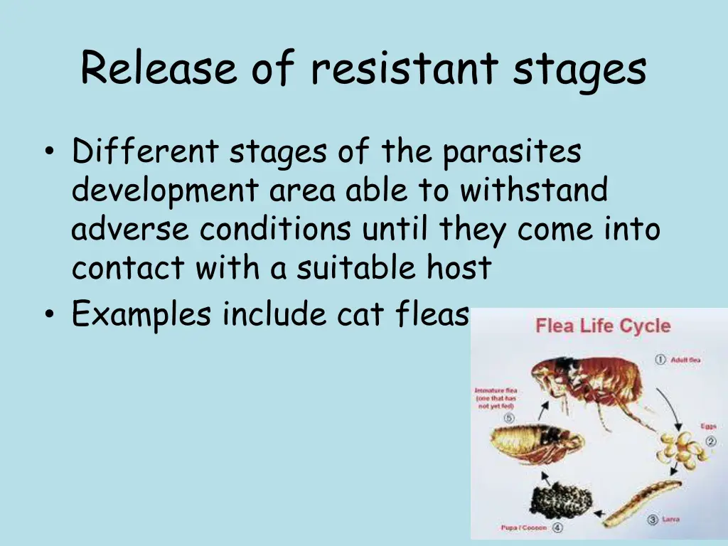 release of resistant stages