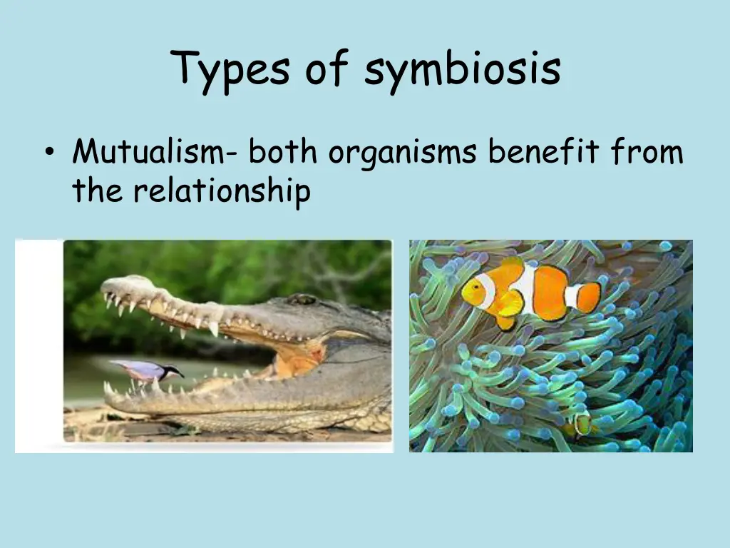 types of symbiosis 1