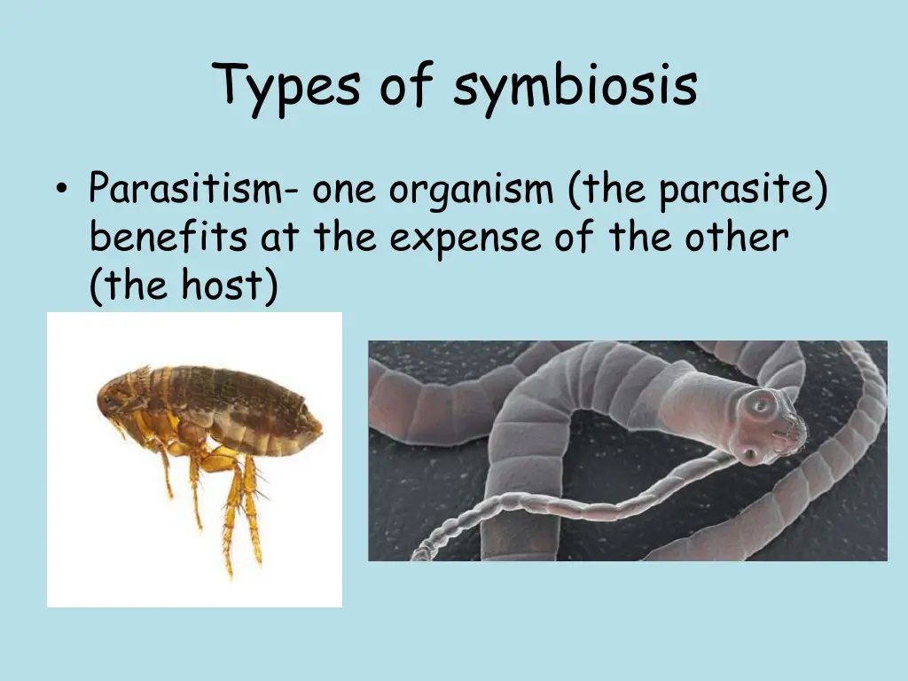 types of symbiosis